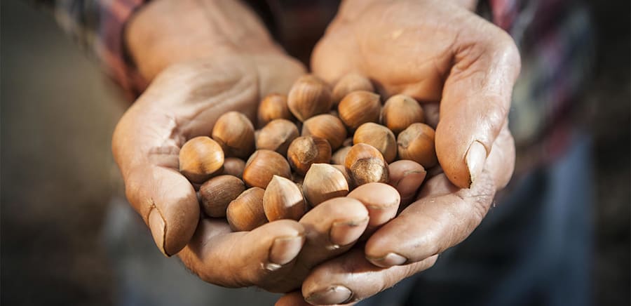 herobanner_TASTELANGHE_T15