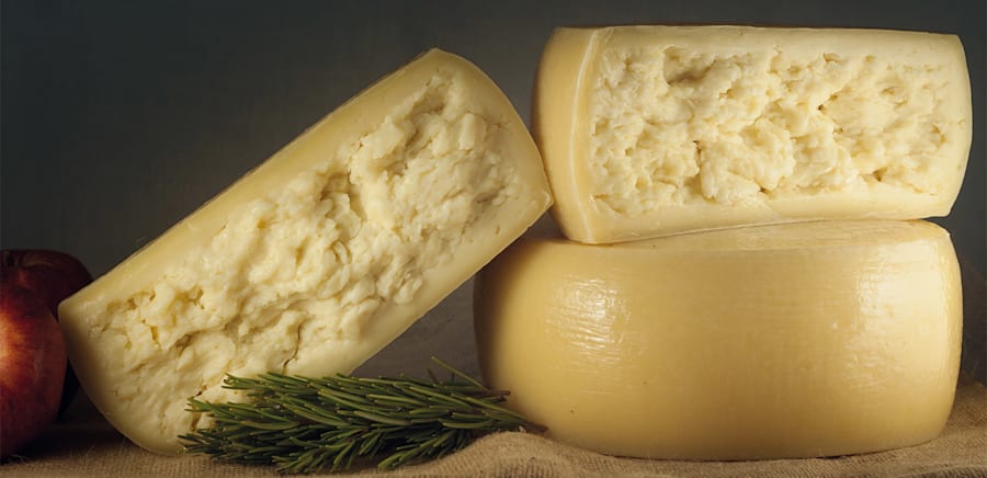 herobanner_LAMATRICIANO_T15