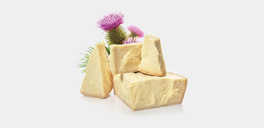 herobanner_FATTORIEFIANDINO_T15