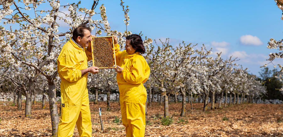 herobanner_APICOLTURALUCAFINOCCHIO_T15