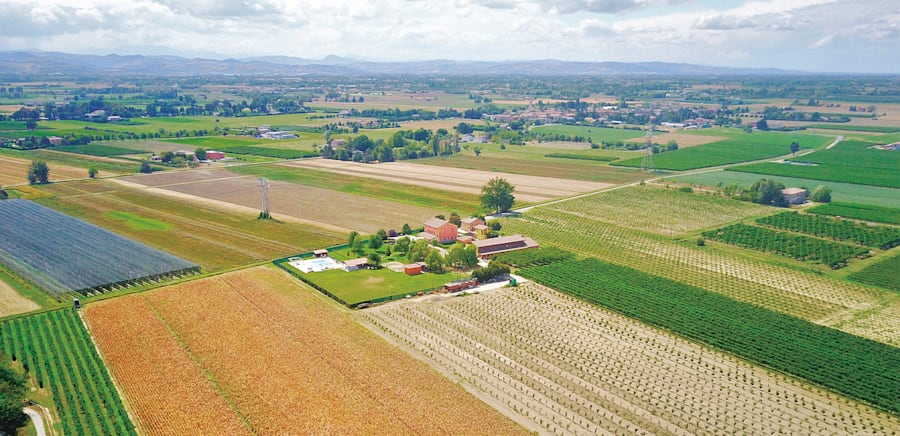 herobanner_DISPENSARUBINI_T15