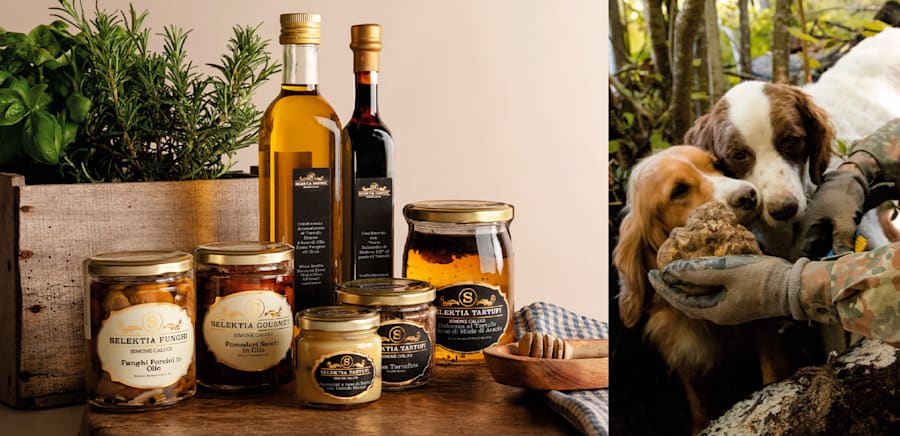 herobanner_SELEKTIATARTUFI_T15