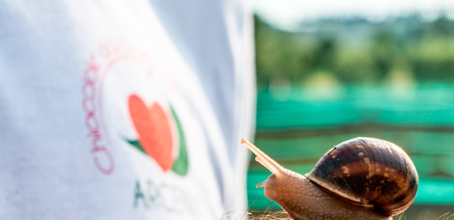 herobanner_ARCENNI_T15