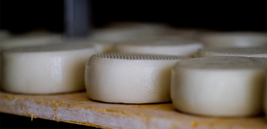 herobanner_CASEIFICIOVALSAMOGGIA_T15