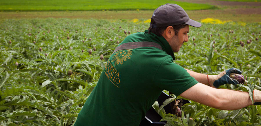 herobanner_MASSERIAMIROGALLO_T15