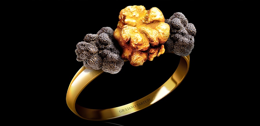 herobanner_GIULIANO_TARTUFI_T16