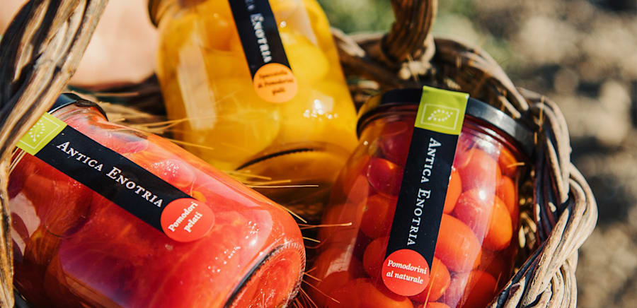 herobanner_ANTICAENOTRIA_T16