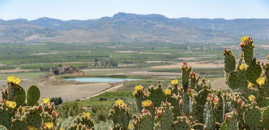 herobanner_TENUTASERRAVALLE_T16