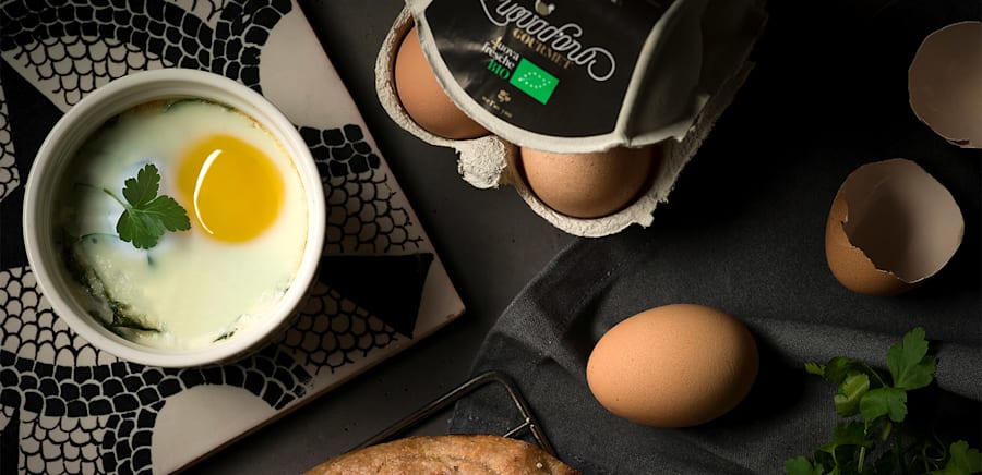 herobanner_LUOVODOROBIO_T16