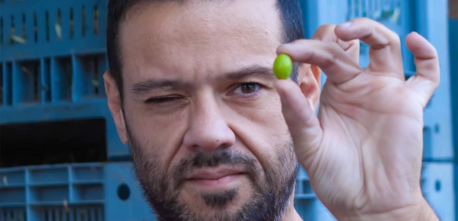 herobanner_MARINAPALUSCIORGANICFARMING_T16