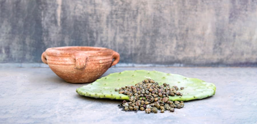 herobanner_KAZZENORODIPANTELLERIA_T16