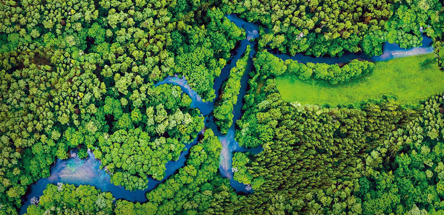 herobanner_ABOCAEDIZIONICULTURASALUTENATURA_E1