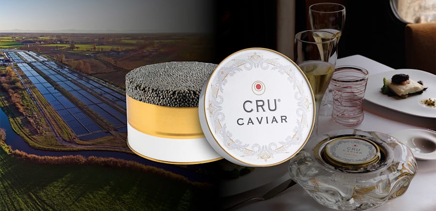 herobanner_CRUCAVIAR_T16