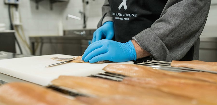 herobanner_TROTAALTURA_T16