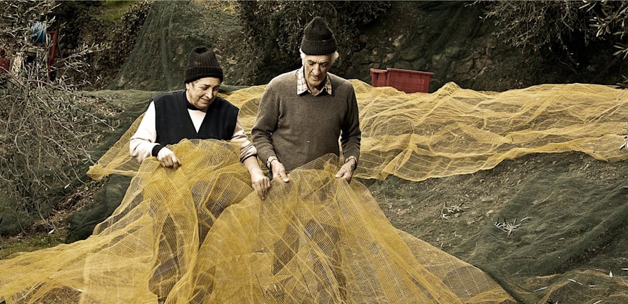 herobanner_OLIOANFOSSO_T16