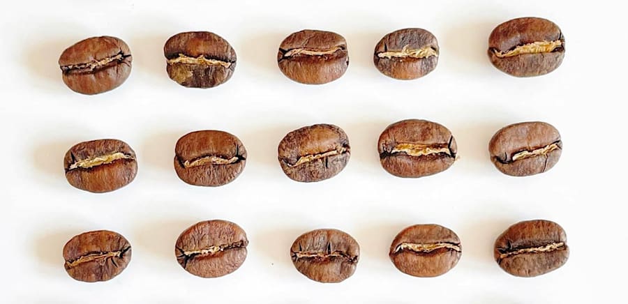 herobanner_GIOVANNACCICAFFE_T17