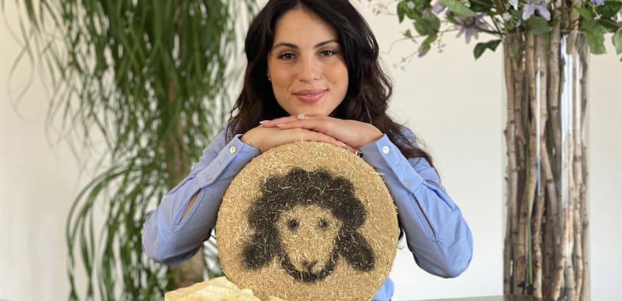 herobanner_LAPECORADIMASSIMILIANO_T17