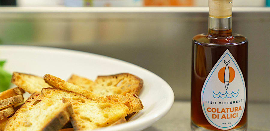 herobanner_FISHDIFFERENT_T17