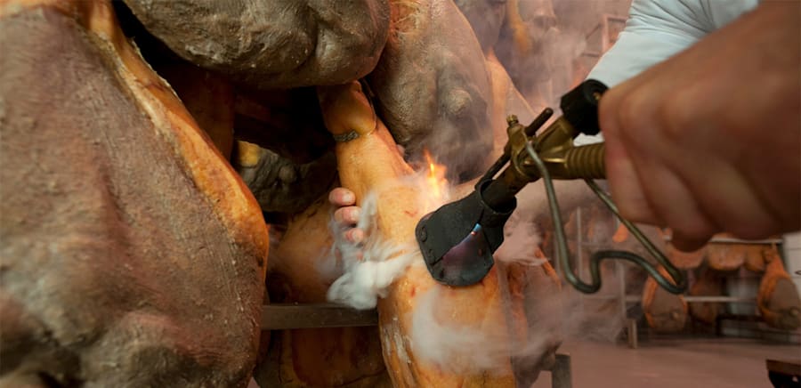 herobanner_PATRIZINORCIA_T17