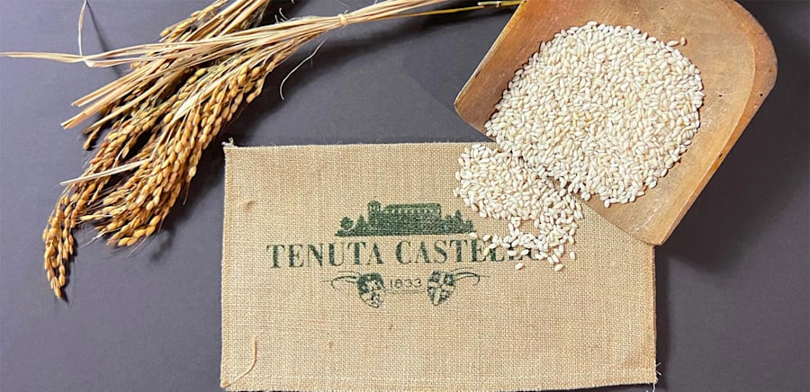 herobanner_TENUTACASTELLO_T17