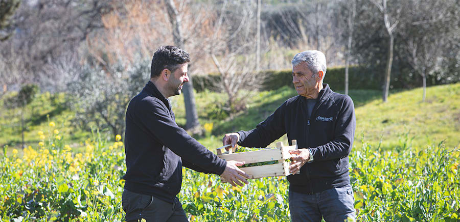 herobanner_CASAIUORIOAZIENDAAGRICOLA_T17