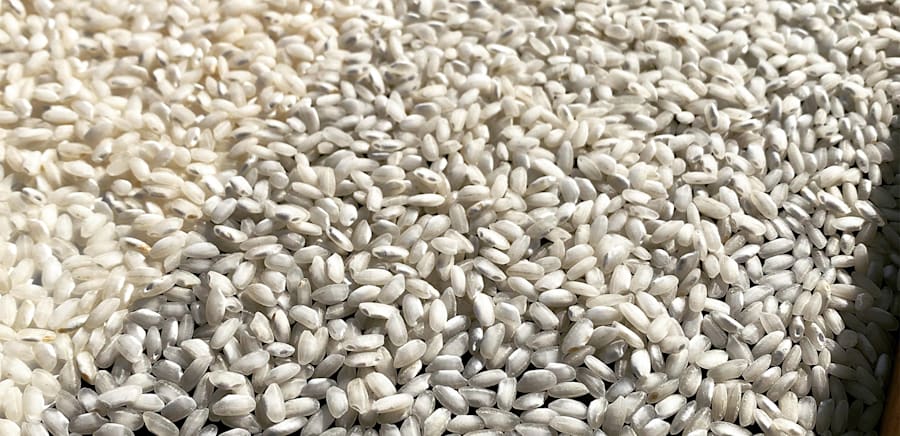 herobanner_RISOZACCARIA_T17