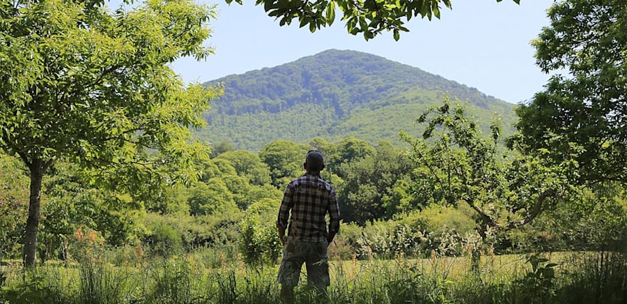 herobanner_LAFRUTTA_T17