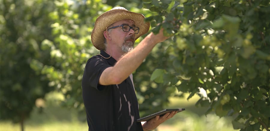 herobanner_NOCCIOLEIT_T17