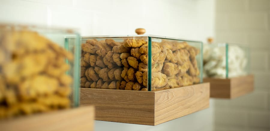 herobanner_DANIELIILFORNODELLEPUGLIE_T17