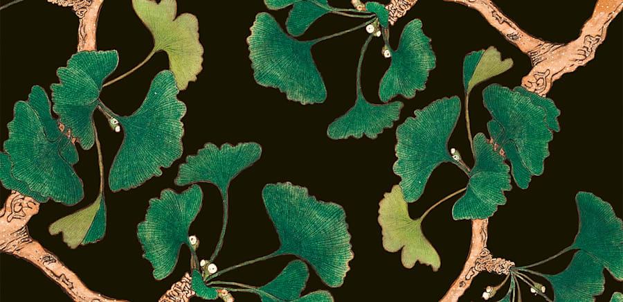 herobanner_OlschkiEditore_E2