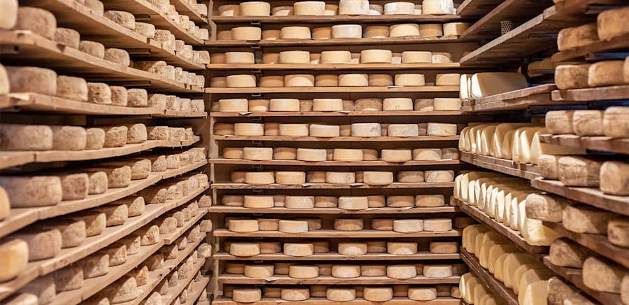 herobanner_FITMILK_T17