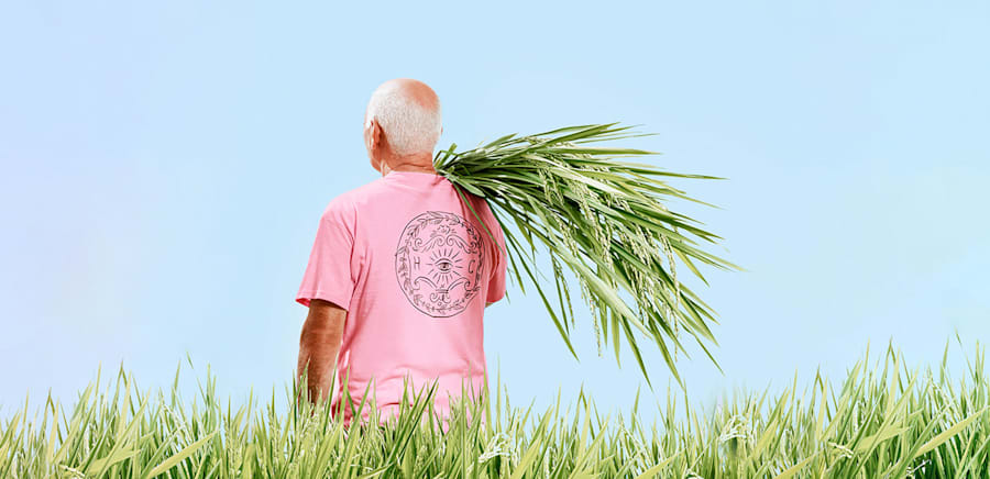 herobanner_HERANEICAMPI_T17