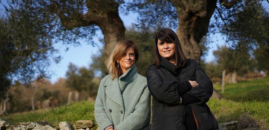 herobanner_TERREDIGRIFONETTO_T17