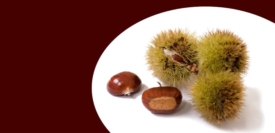 herobanner_LAFENICEMARRONI_T17