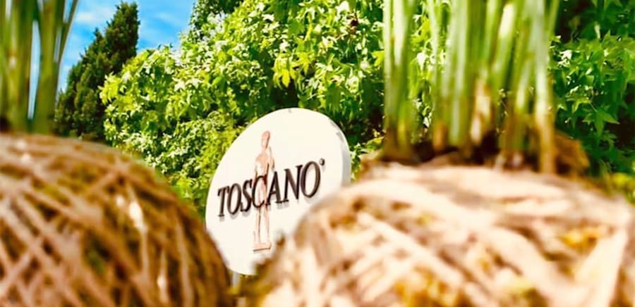 herobanner_TOSCANO_F95
