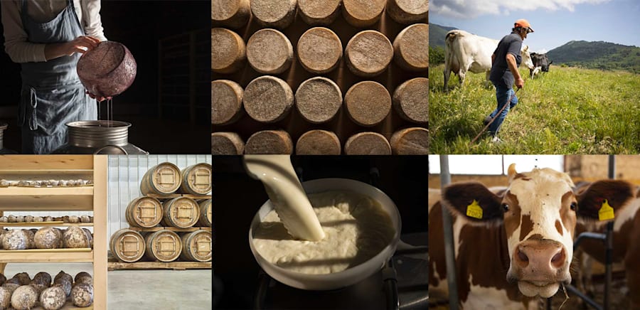 herobanner_ILFIENILECHEESEACADEMY_T18