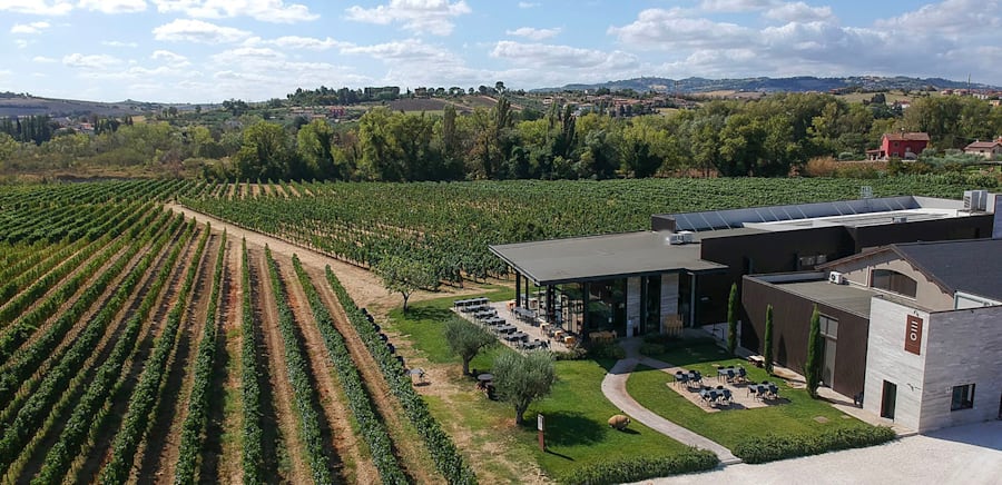 herobanner_ENIOOTTAVIANIVINIEVIGNETI_T18