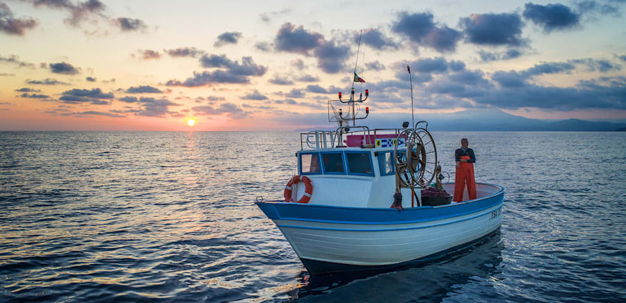 herobanner_ALICIDIMENAICA_T18