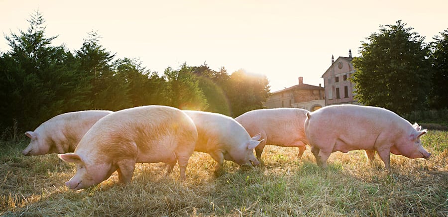 herobanner_BETTELLAMAIALETRANQUILLO_U107