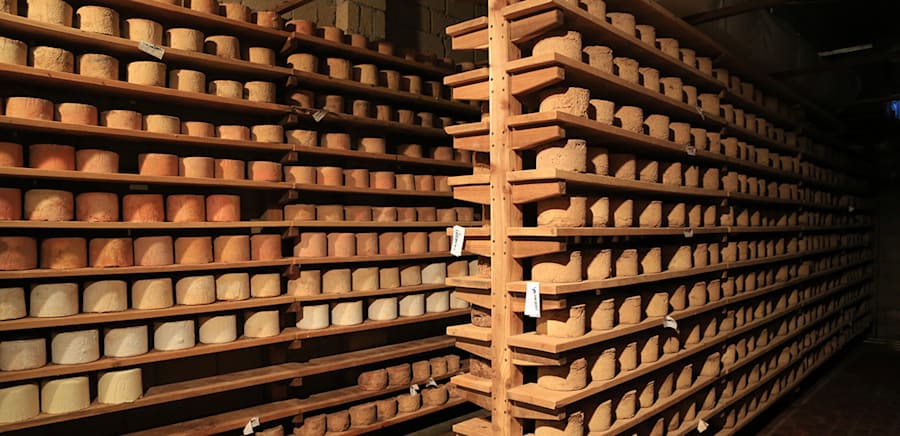 herobanner_TERREDICASTELMAGNO_T18