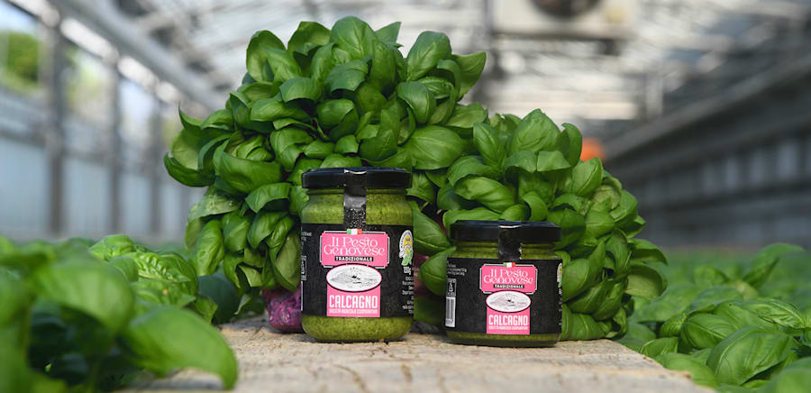 herobanner_ILPESTODICALCAGNO_T18