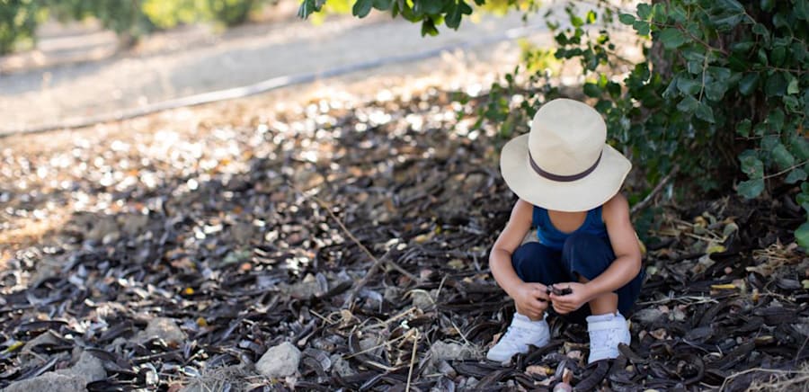 herobanner_CIOKARRUA_T18