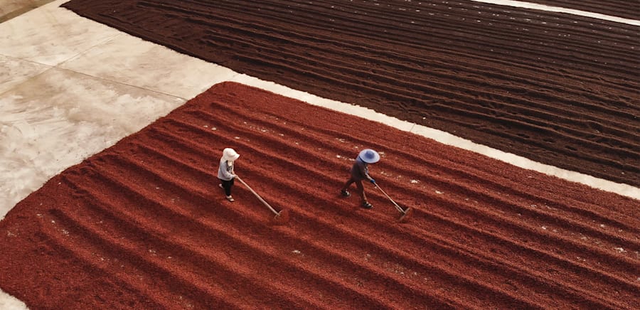 herobanner_FLLIBONACCHI_T18