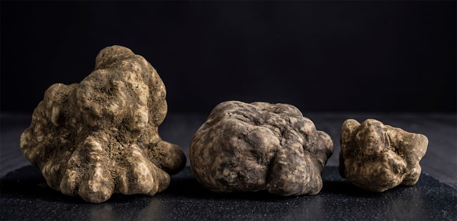 herobanner_TARTUFISTEFANIACALUGI_T18