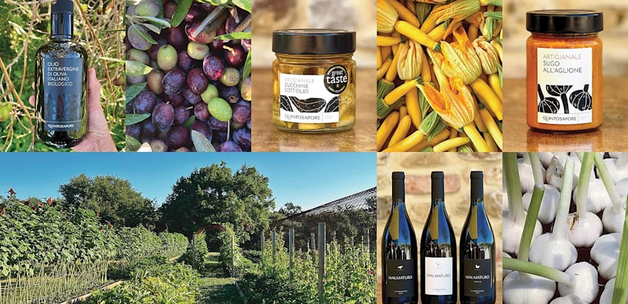 herobanner_QUINTOSAPORE_T18