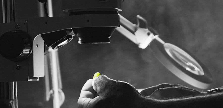 herobanner_FRANTOIOMASACCIO_T18