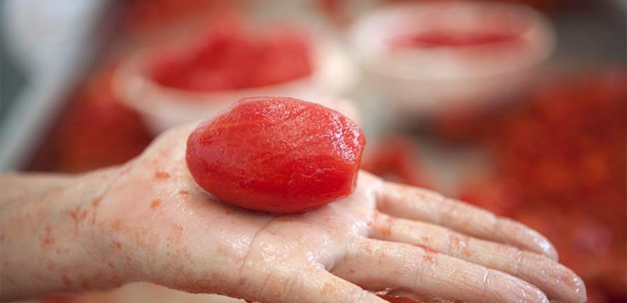 herobanner_MASSERIADAUNA_T18