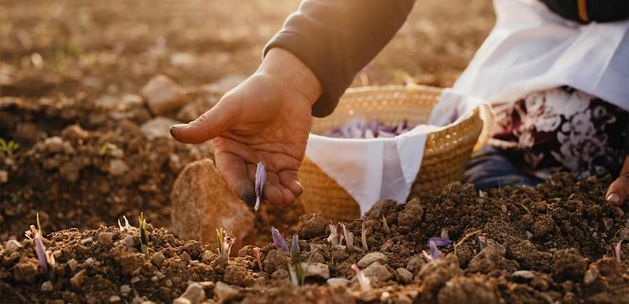 herobanner_RAMODIMANDORLO_R23