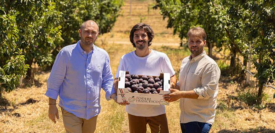 herobanner_PODEREFRANCESCO_T18