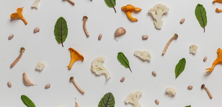 herobanner_CAPPELLINILABORATORIOVEGETALE_T18